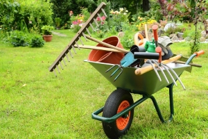 Picture for category Garden Tools & Supplies