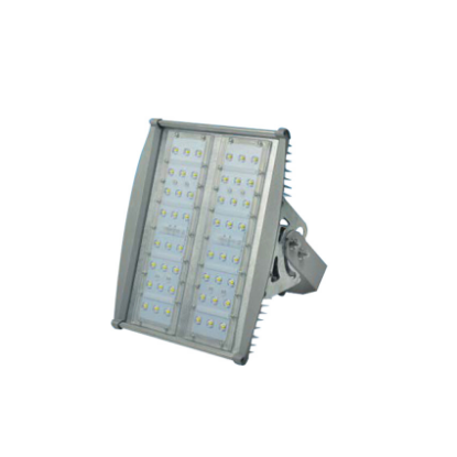 Picture of Firefly Led Floodlight EFL2010DL