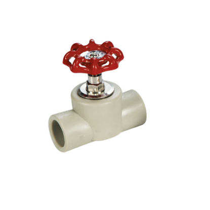 Picture of Royu Gate Valve RPPGV20
