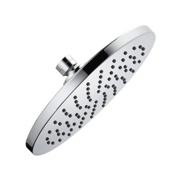 Picture of Delta Shower head - DTISH11007
