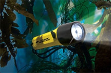 Picture for category Lights